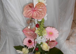 DSCN0029